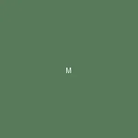 墨夜 (Midnight Ink) - 五一视频 创作者头像